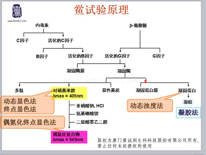 MG游戏官网道理.jpg